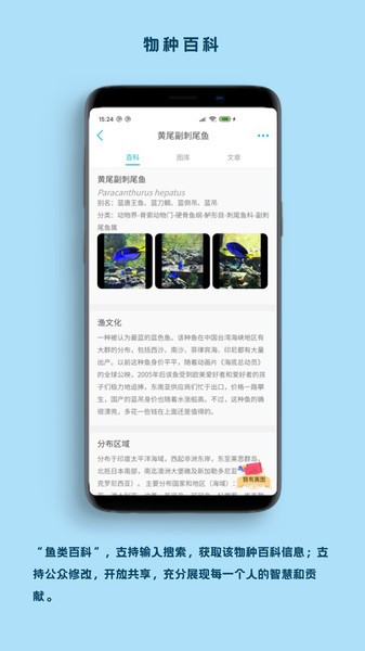 看鱼官方版截图4