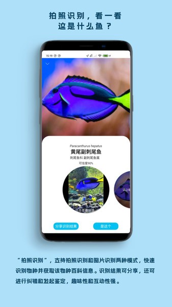 看鱼官方版截图5