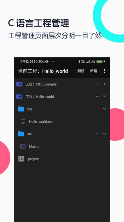 C语言编译器IDE官方版截图3