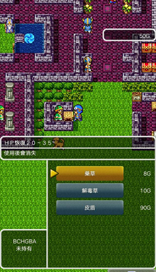 勇者斗恶龙2中文版截图2