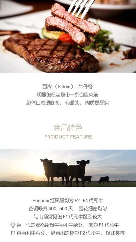 普冷库购截图2