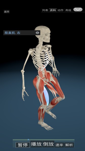 3d运动解剖截图1