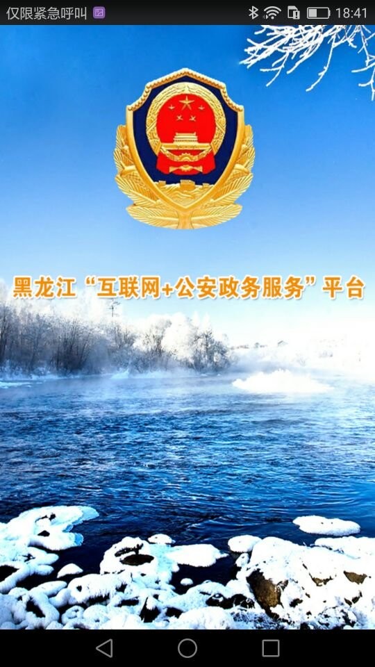 平安龙江app最新版(全省事)截图1