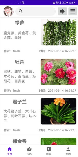 绿植花卉手机版截图1