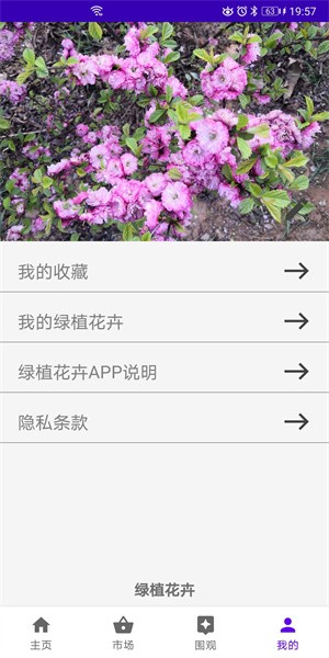 绿植花卉手机版截图2