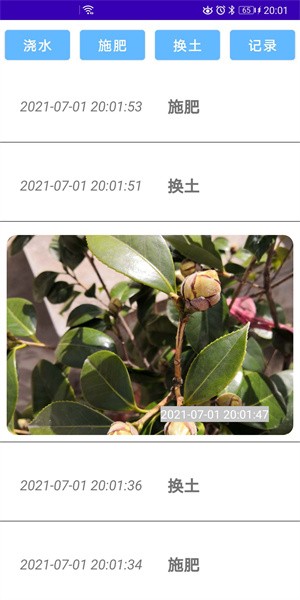 绿植花卉手机版截图3