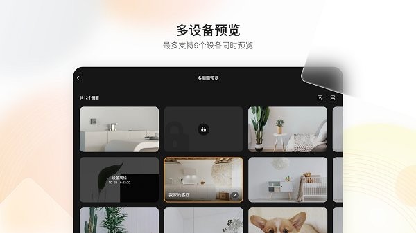 乐橙平板版本截图3