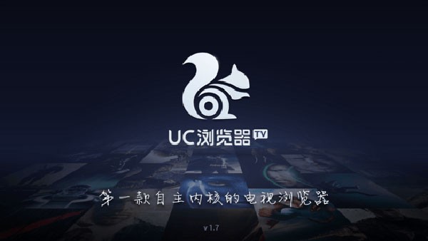 uc浏览器电视版截图3