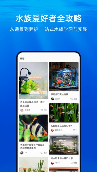 当贝鱼缸app截图2