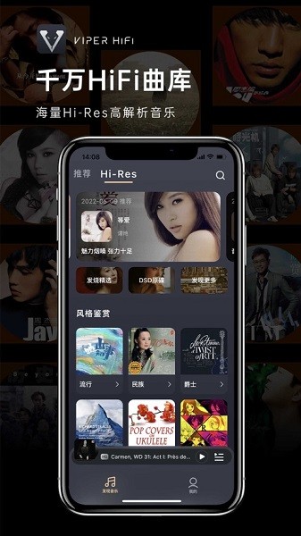 viper hifi官方版截图1