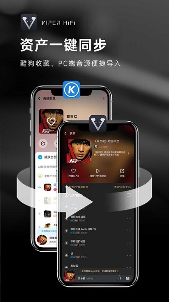 viper hifi官方版截图3
