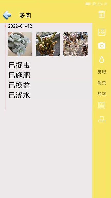 多肉花草日记截图1