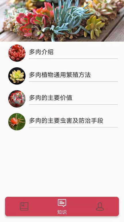 多肉花草日记截图4