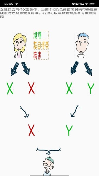 蚕豆病宝贝网截图1