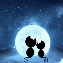 星空温度软件