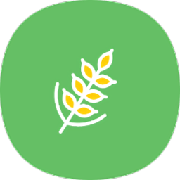 麦子下载器app