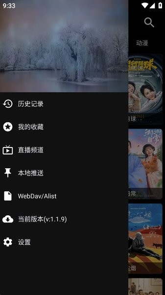 竖版影音壳子美化版截图1