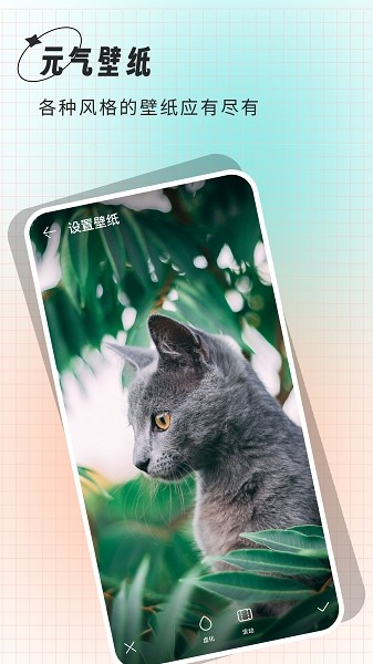 克拉壁纸app安卓版截图3