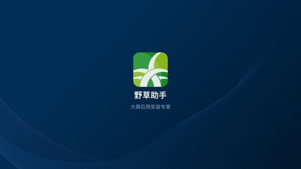 2025野草助手电视版安装包截图3