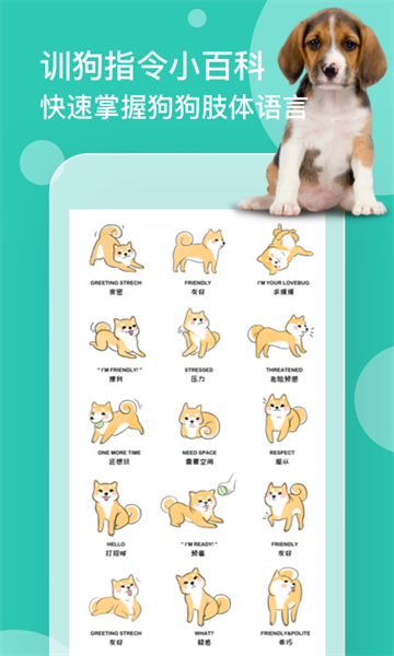 狗语翻译软件截图2