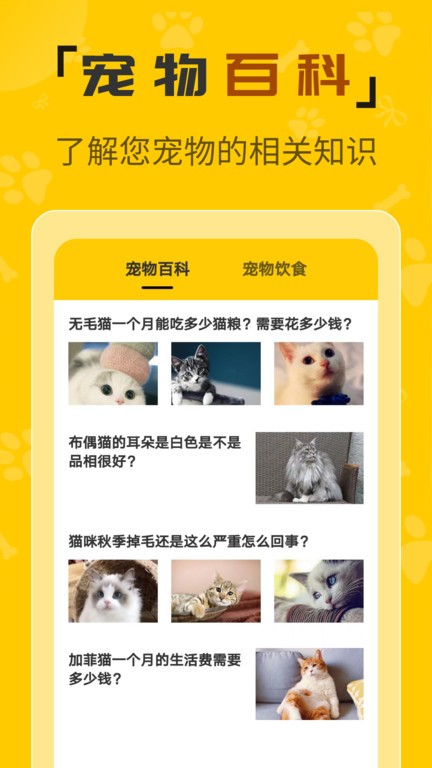 人猫翻译机器截图1