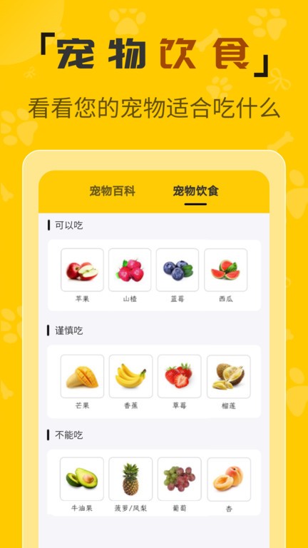 人猫翻译机器截图4