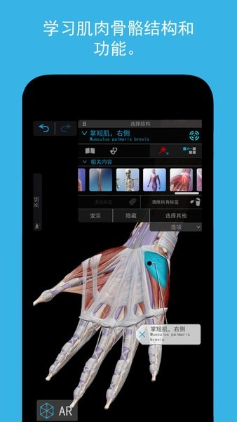 人体解剖学图谱2025破解版