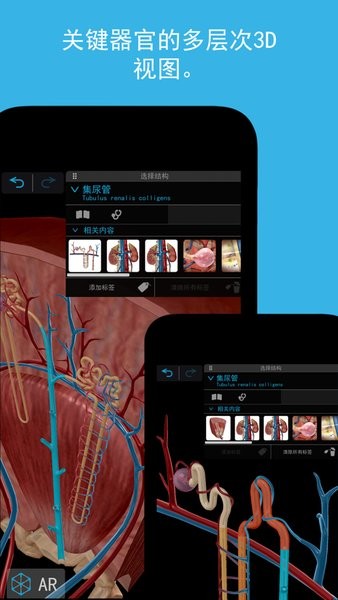 atlas人体解剖学图谱2025破解版截图1
