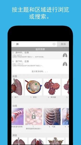 atlas人体解剖学图谱2025破解版截图4
