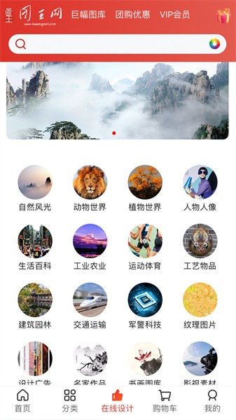图王网app截图1