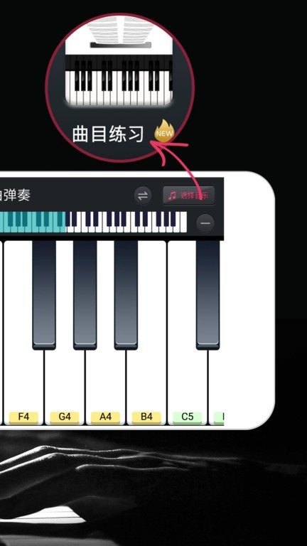 模拟钢琴键盘app截图4