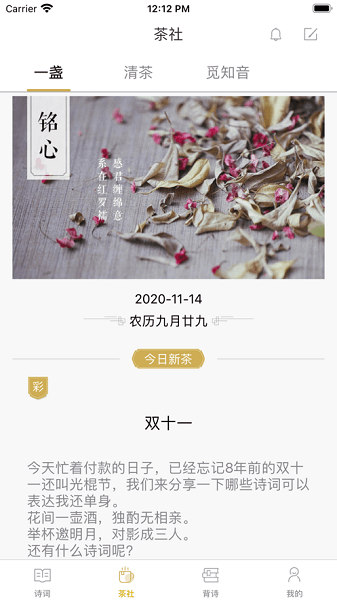 古诗词典软件免费版截图3