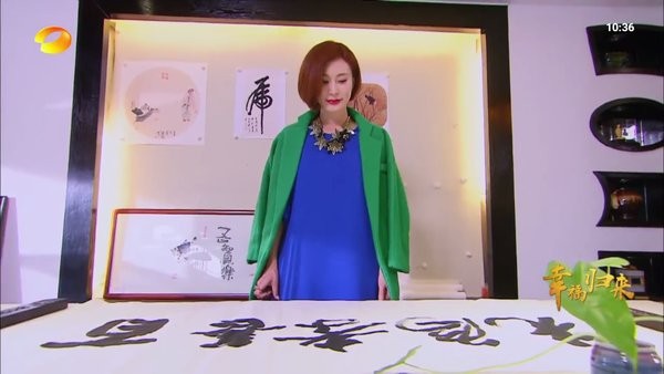 极悦直播电视盒子版截图2