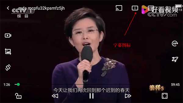 oplayer怎么添加字幕