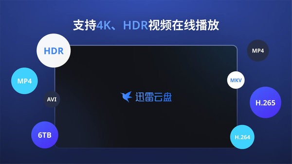 迅雷云盘电视版apk截图1
