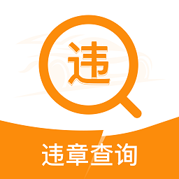 交通违法查询在线查询系统