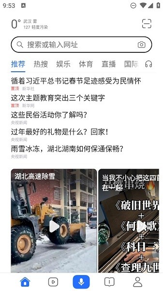 荣耀手机浏览器截图1