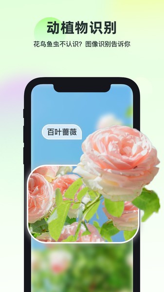 智能识万物免费截图3