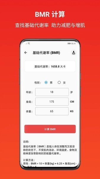 运动健康计算器在线使用截图2