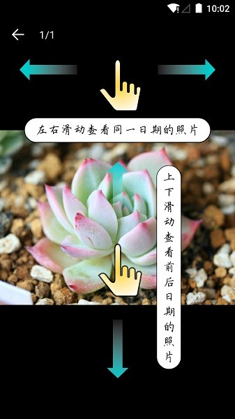 多肉成长记截图1