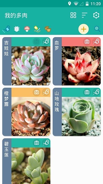 多肉成长记截图3