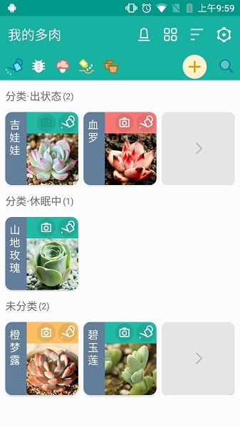 多肉成长记截图4