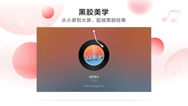 网易云音乐电视版安装包截图1