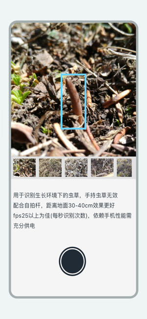 乐见虫草app截图1