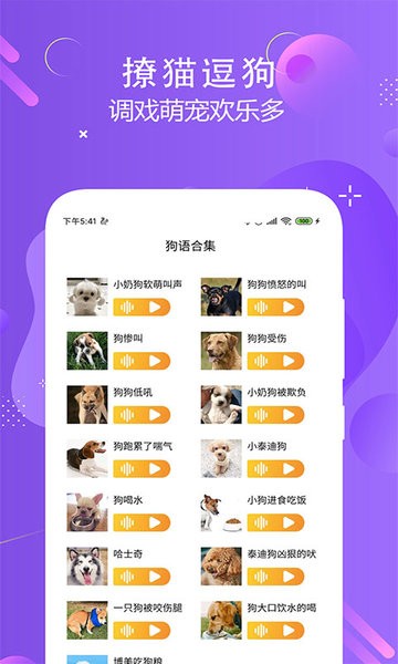 猫狗语言翻译交流器手机版截图2