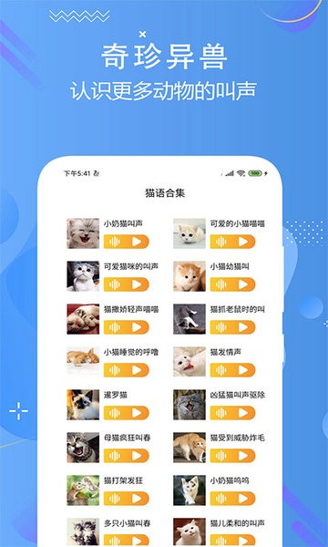 猫狗语言翻译交流器手机版截图3