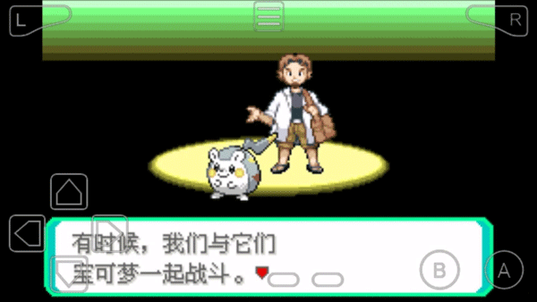 口袋妖怪究极绿宝石5手机版截图3