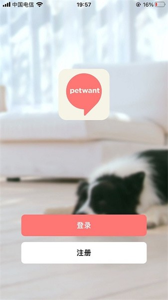 派旺智能宠物喂食器截图1