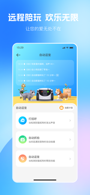 rola软件