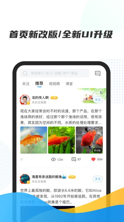 龙巅水族论坛截图3